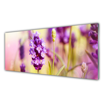 Keuken achterwand glas met print Bloemen plantaardige aard