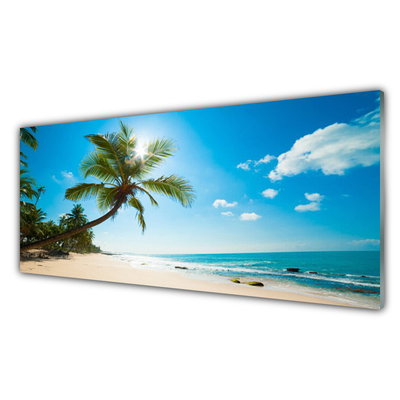 Keuken achterwand glas met print Palmboom strandlandschap