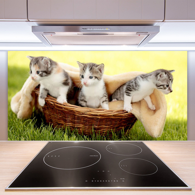 Keuken achterwand glas met print Katten dieren