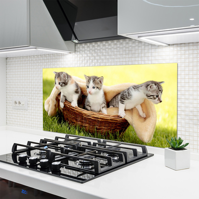 Keuken achterwand glas met print Katten dieren