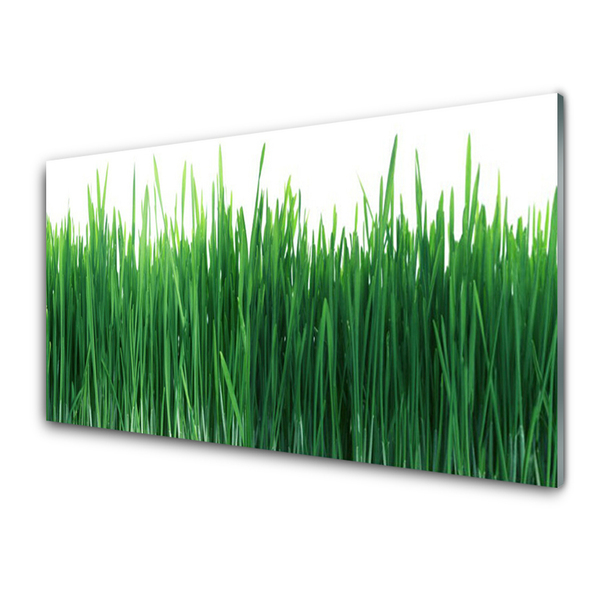 Keuken achterwand glas met print Gras natuurplant