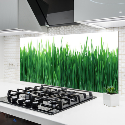 Keuken achterwand glas met print Gras natuurplant