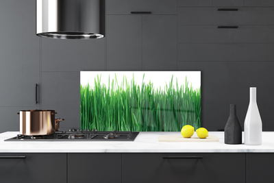 Keuken achterwand glas met print Gras natuurplant