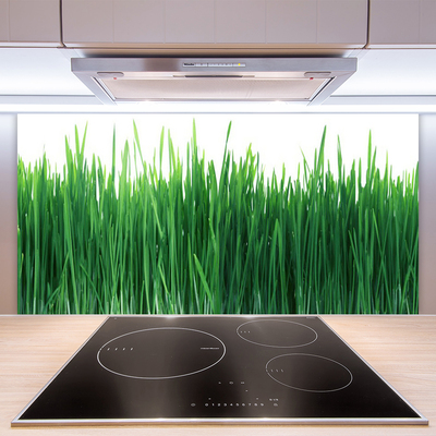 Keuken achterwand glas met print Gras natuurplant