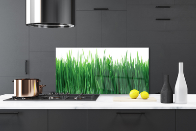 Keuken achterwand glas met print Gras natuurplant