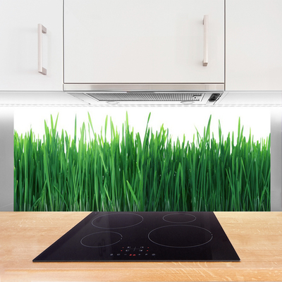 Keuken achterwand glas met print Gras natuurplant