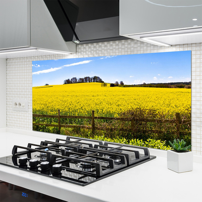 Keuken achterwand glas met print Veldplant landschap