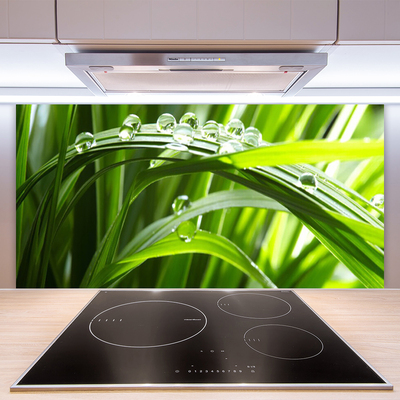 Keuken achterwand glas met print Graswater laat de natuur vallen