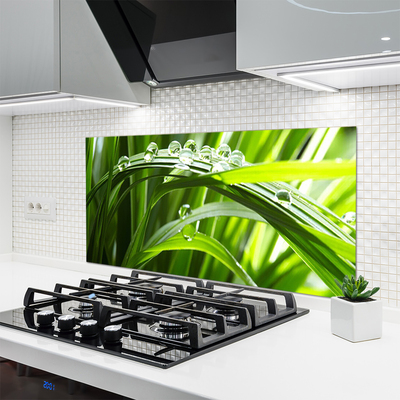 Keuken achterwand glas met print Graswater laat de natuur vallen