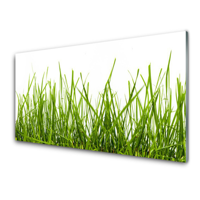 Keuken achterwand glas met print Gras natuurplant