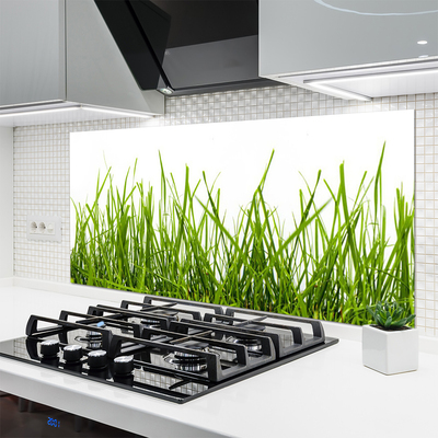 Keuken achterwand glas met print Gras natuurplant