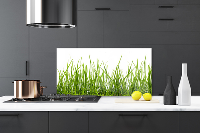 Keuken achterwand glas met print Gras natuurplant