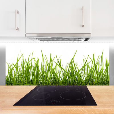 Keuken achterwand glas met print Gras natuurplant