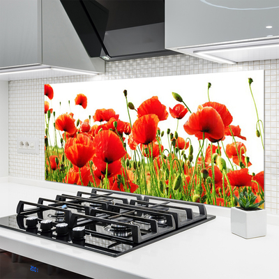 Keuken achterwand glas met print Maki plant nature