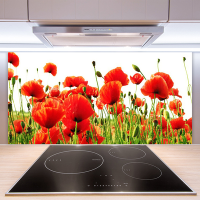 Keuken achterwand glas met print Maki plant nature