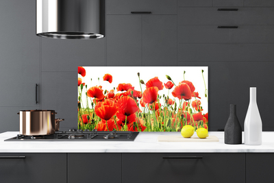 Keuken achterwand glas met print Maki plant nature