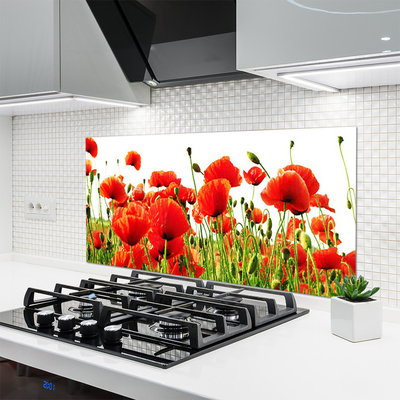 Keuken achterwand glas met print Maki plant nature