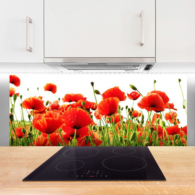 Keuken achterwand glas met print Maki plant nature