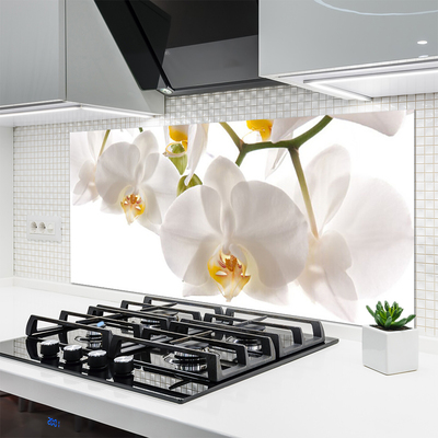 Keuken achterwand glas met print Bloemen plant wildlife