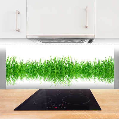 Spatscherm keuken glas Grasinstallatie wildlife