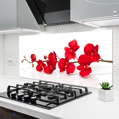 Spatscherm keuken glas Bloemen plant wildlife