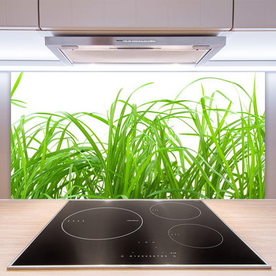 Spatscherm keuken glas Gras plantaard