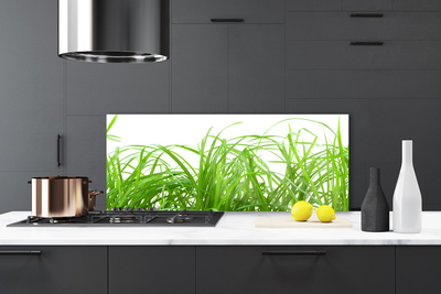 Spatscherm keuken glas Gras plantaard