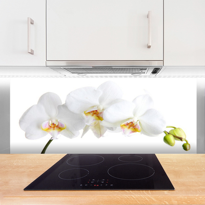 Spatscherm keuken glas Bloemen plantaardige aard