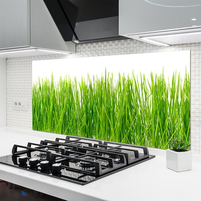 Spatscherm keuken glas Grasinstallatie wildlife