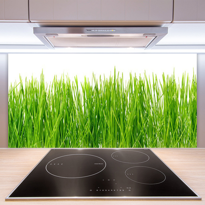 Spatscherm keuken glas Grasinstallatie wildlife