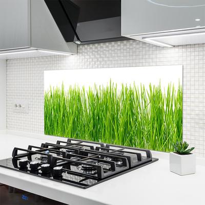 Spatscherm keuken glas Grasinstallatie wildlife