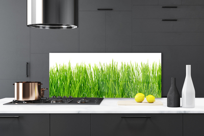 Spatscherm keuken glas Grasinstallatie wildlife