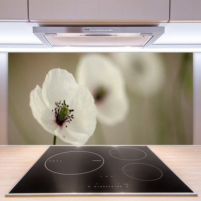 Spatscherm keuken glas Bloem plantaard