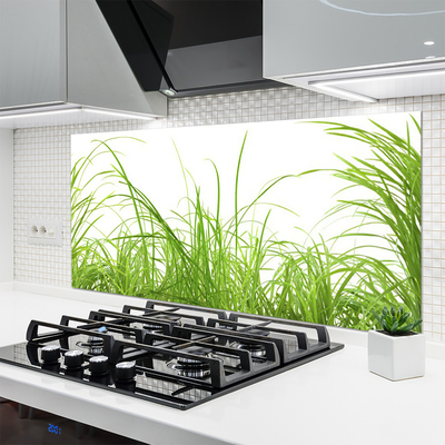 Spatscherm keuken glas Grasinstallatie wildlife