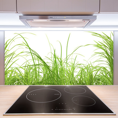 Spatscherm keuken glas Grasinstallatie wildlife