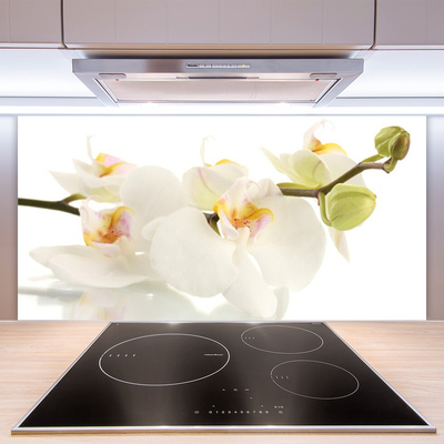 Spatscherm keuken glas Bloemen plantaardige aard