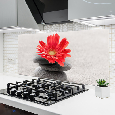 Spatscherm keuken glas Gerbera bloem