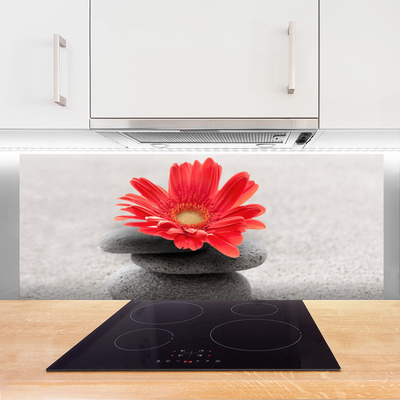 Spatscherm keuken glas Gerbera bloem