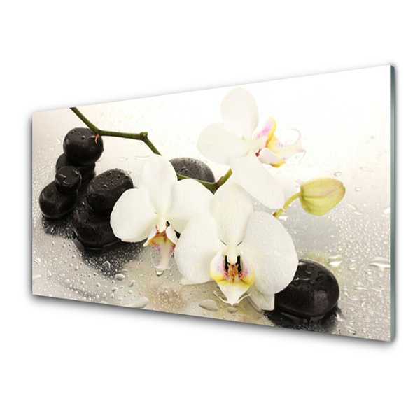 Spatscherm keuken glas Mooie orchideebloem