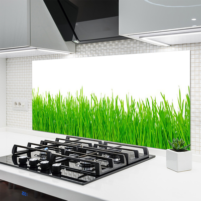 Spatscherm keuken glas Gras plantaard