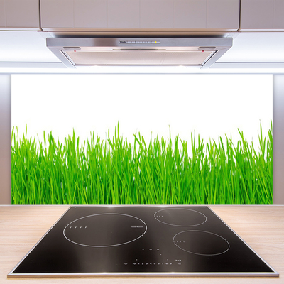 Spatscherm keuken glas Gras plantaard