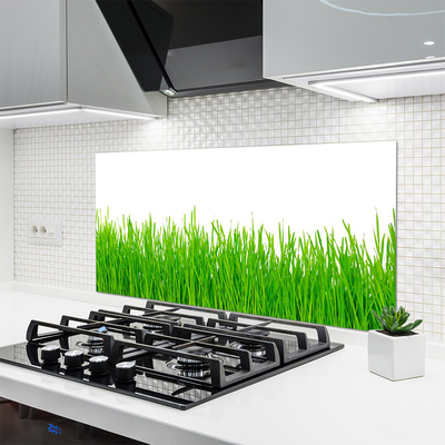 Spatscherm keuken glas Gras plantaard