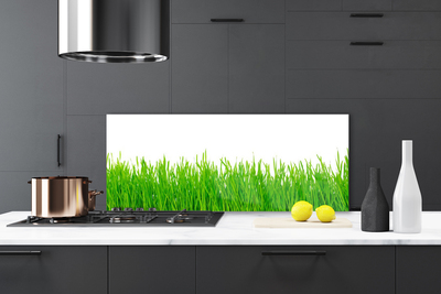 Spatscherm keuken glas Gras plantaard