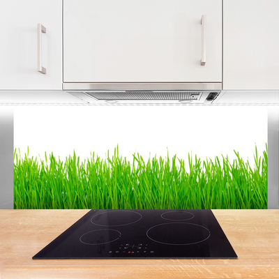 Spatscherm keuken glas Gras plantaard