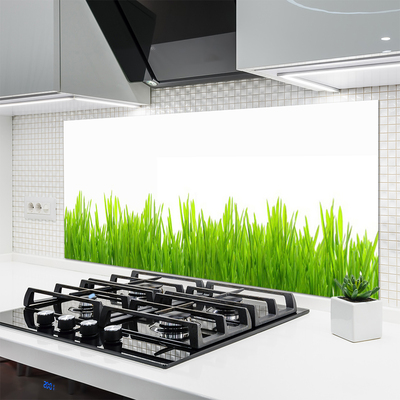 Spatscherm keuken glas Gras plantaard