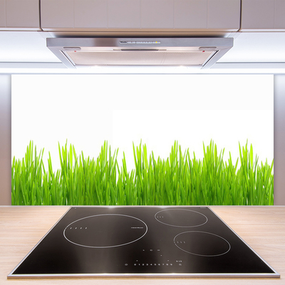 Spatscherm keuken glas Gras plantaard