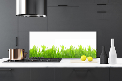 Spatscherm keuken glas Gras plantaard