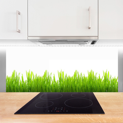 Spatscherm keuken glas Gras plantaard