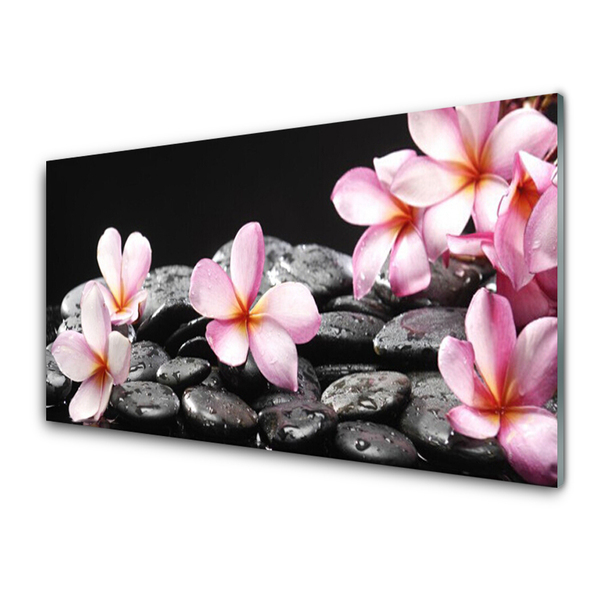 Spatscherm keuken glas Bloem plumeria op de muur