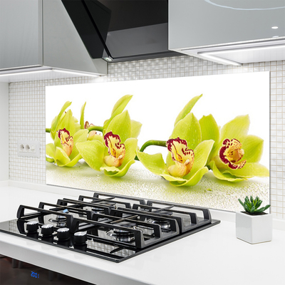 Spatscherm keuken glas Bloemen plant wildlife